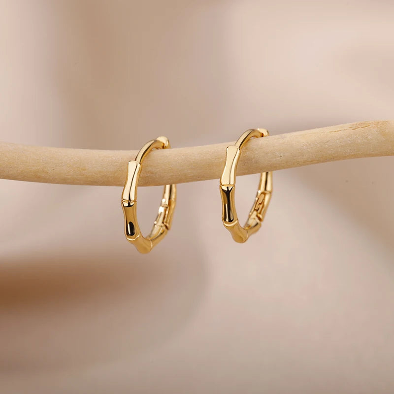 Luxury Star Hoop Earrings