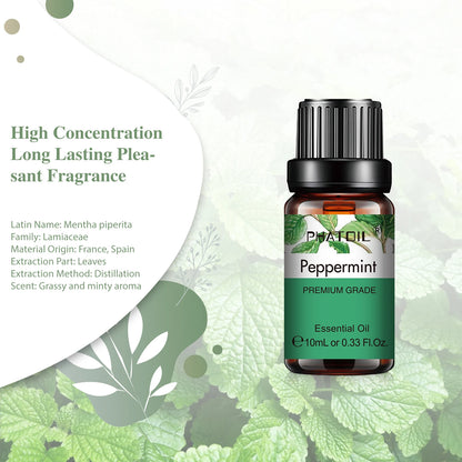 PHATOIL Natural Plant Essential Oil 10ml Eucalyptus Lavender